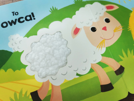 Zwierzęta na wsi. Akademia Mądrego Dziecka. Dotykam, zgaduję