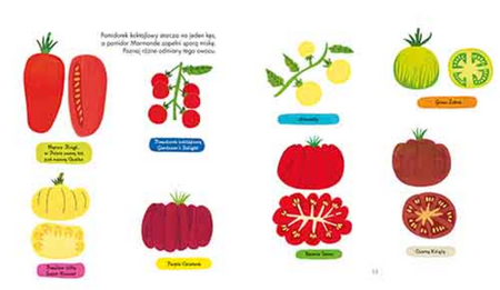 Pomidory. Akademia Mądrego Dziecka. Wiem, co jem!