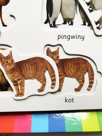 Zwierzęta. Akademia mądrego dziecka. Kolorowy świat malucha