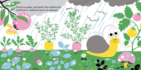 Deszcz. Akademia Mądrego Dziecka. Niesamowity spacer