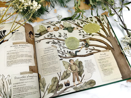 Historia naturalna wróżek