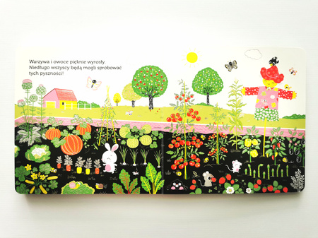 Ogródek warzywny. Akademia Mądrego Dziecka. Niesamowity spacer