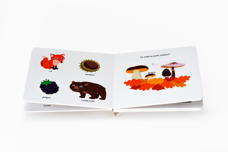 W lesie. Akademia mądrego dziecka. Pierwsze słowa