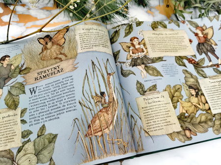 Historia naturalna wróżek