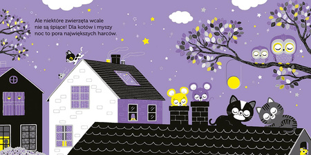 Pod gwiazdami. Akademia Mądrego Dziecka. Niesamowity spacer