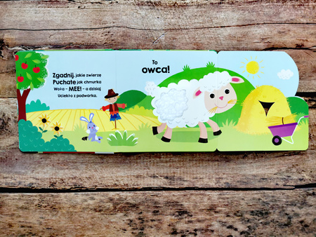 Zwierzęta na wsi. Akademia Mądrego Dziecka. Dotykam, zgaduję