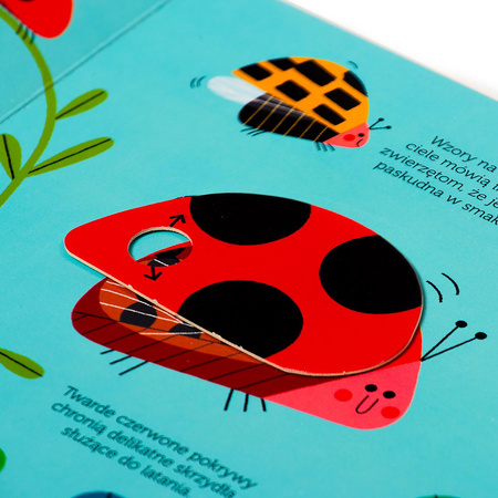 Biedronka. Akademia mądrego dziecka. Pokochaj naturę