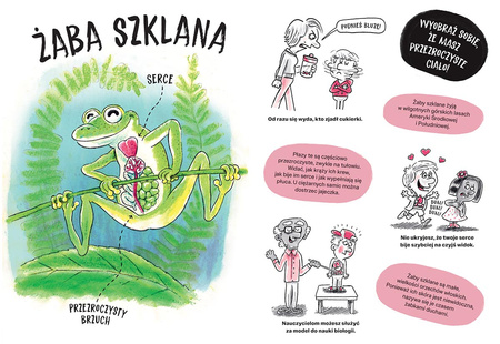 Zwierzaki cwaniaki. Akademia Mądrego Dziecka. Chcę wiedzieć