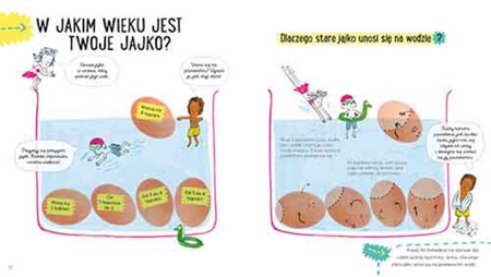 Jajko. Akademia mądrego dziecka. Przygody z nauką
