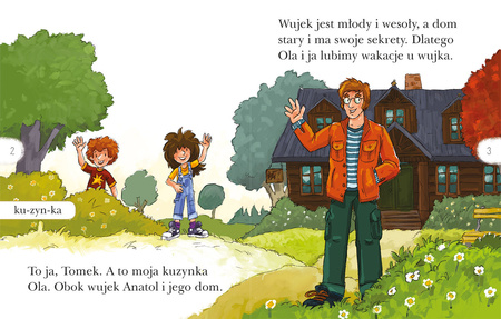 Skarb Arubaby. Czytam sobie. Poziom 2