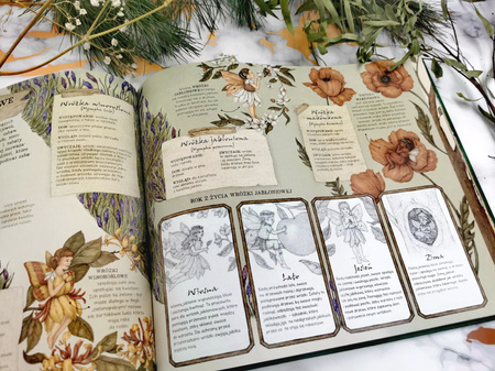 Historia naturalna wróżek