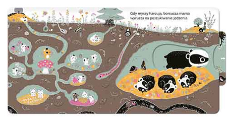 Pod ziemią. Akademia Mądrego Dziecka. Niesamowity spacer