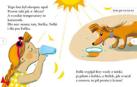 Fafik i kogut. Czytam sobie. Poziom 2