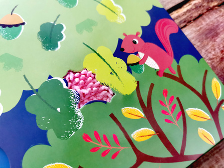 Zwierzęta w lesie. Akademia Mądrego Dziecka. Dotykam, zgaduję