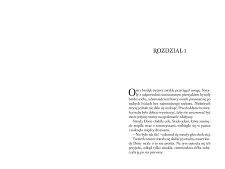 Dungeons & Dragons. Złodziejski honor. Ścieżka druida
