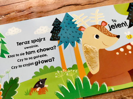 Zwierzęta w lesie. Akademia Mądrego Dziecka. Dotykam, zgaduję
