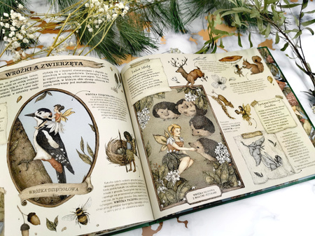 Historia naturalna wróżek