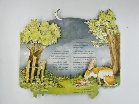 Nawet nie wiesz, jak bardzo cię kocham. Pop-up