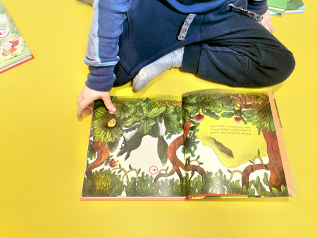 Księga dżungli. Bajka dźwiękowa