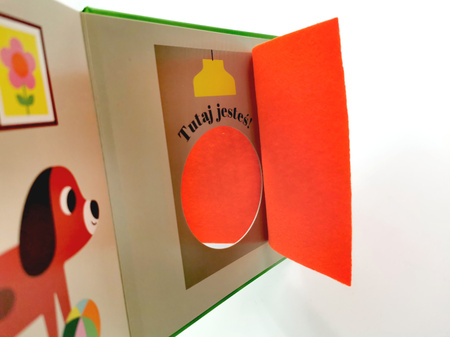 Gdzie się schował kotek? Akademia Mądrego Dziecka. Zabawa w chowanego