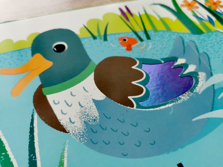 Zwierzęta na wsi. Akademia Mądrego Dziecka. Dotykam, zgaduję