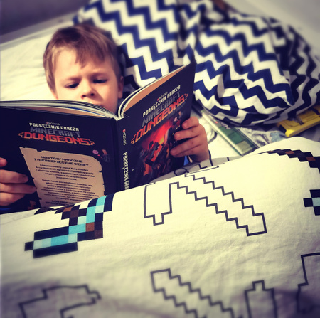 Podręcznik gracza Minecraft Dungeons. Poradnik dla bohaterów