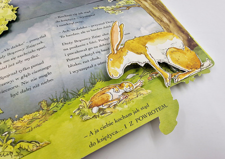 Nawet nie wiesz, jak bardzo cię kocham. Pop-up