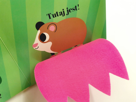 Gdzie się schował kotek? Akademia Mądrego Dziecka. Zabawa w chowanego