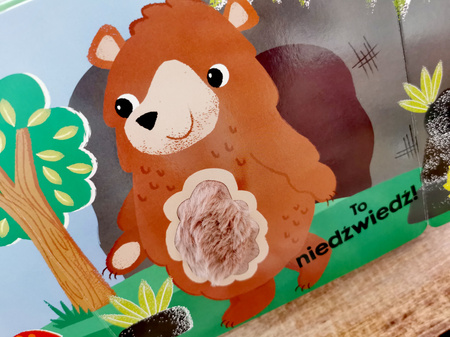 Zwierzęta w lesie. Akademia Mądrego Dziecka. Dotykam, zgaduję