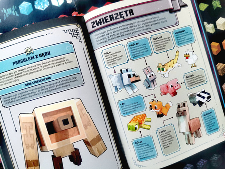 Minecraft Legends. Podręcznik ratowania Świata Podstawowego