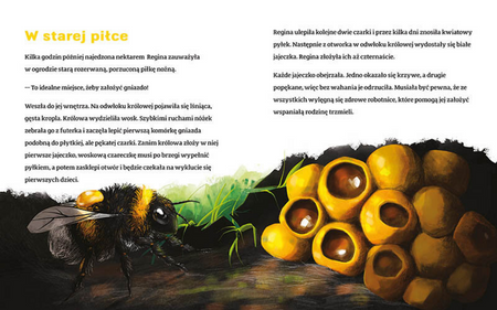 Reginka szuka domu. Akademia mądrego dziecka. Pomóż mi przetrwać