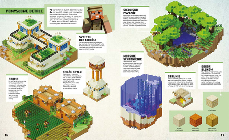 Minecraft. Niesamowite projekty