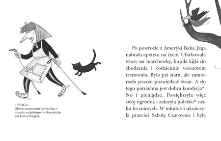 Baba Jaga i Duch Puszczy. Czytam sobie Eko. Czytam sobie. Poziom 3