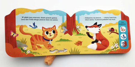 Kot Tofik. Akademia Mądrego Dziecka. Bajka z ogonkiem