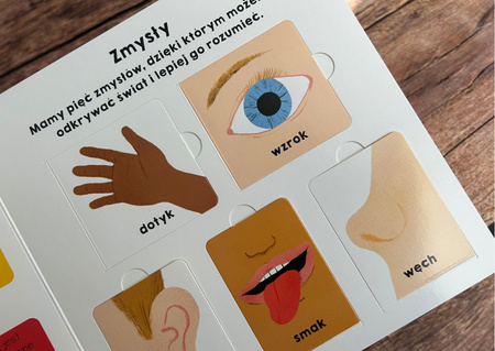 Moje ciało. Akademia Mądrego Dziecka. Mój świat