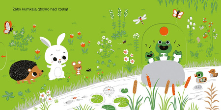 Łąka. Akademia Mądrego Dziecka. Niesamowity spacer