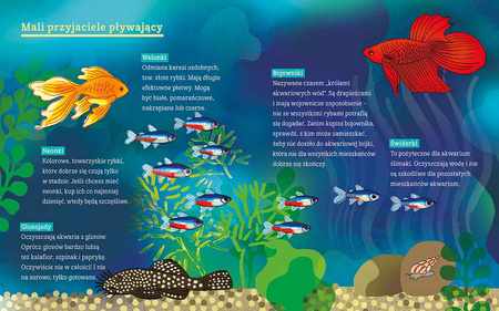 Basia. Wielka księga psów i kotów oraz innych zwierzęcych przyjaciół