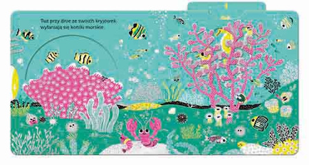 Ocean. Akademia Mądrego Dziecka. Niesamowity spacer