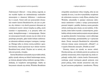 Koniec końców. Seria Niefortunnych Zdarzeń. Tom 13