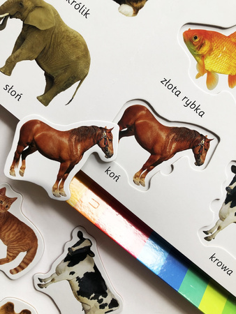 Zwierzęta. Akademia mądrego dziecka. Kolorowy świat malucha