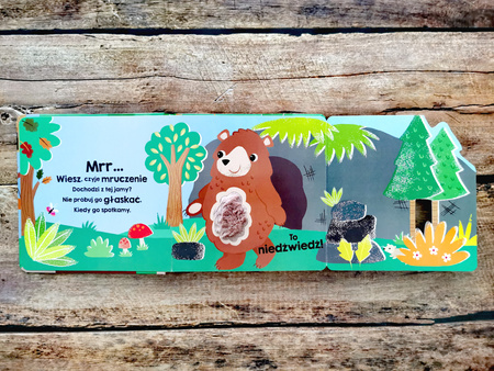 Zwierzęta w lesie. Akademia Mądrego Dziecka. Dotykam, zgaduję