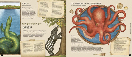 Historia naturalna stworzeń magicznych