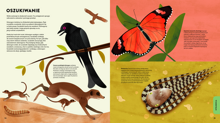 Człekozwierz. Co nas łączy ze zwierzętami?