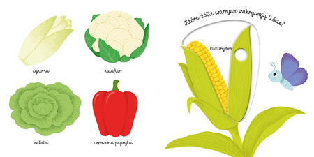 Warzywa. Akademia mądrego dziecka. Pierwsze słowa