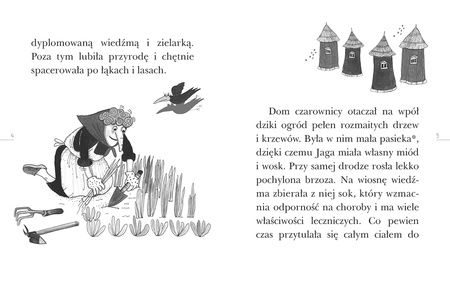 Baba Jaga i Duch Puszczy. Czytam sobie Eko. Czytam sobie. Poziom 3