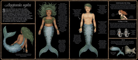 Historia naturalna syren