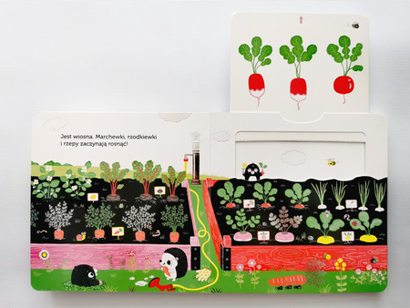 Ogródek warzywny. Akademia Mądrego Dziecka. Niesamowity spacer