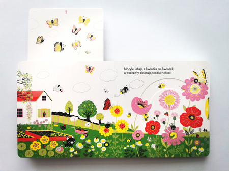 Ogródek warzywny. Akademia Mądrego Dziecka. Niesamowity spacer