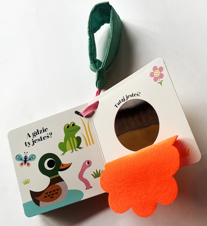 Gdzie się schowała kaczuszka? Akademia mądrego dziecka. Zabawa w chowanego