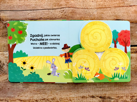 Zwierzęta na wsi. Akademia Mądrego Dziecka. Dotykam, zgaduję